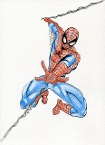 Spiderman Watercolor