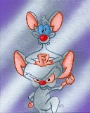 Pinky and The Brain